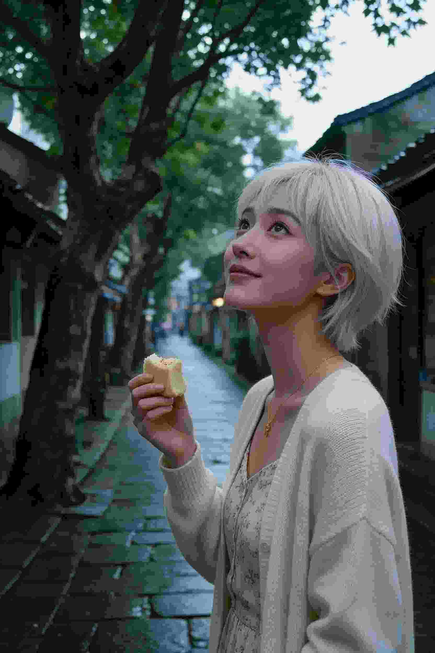 古月情缘